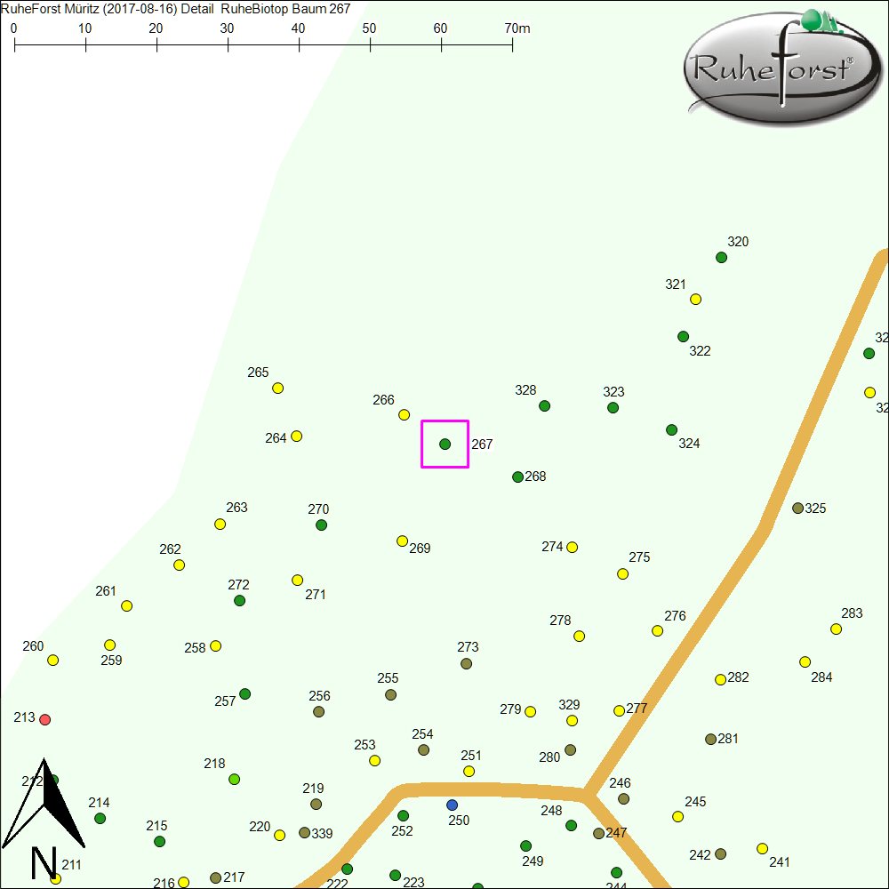 Detailkarte zu Baum 267
