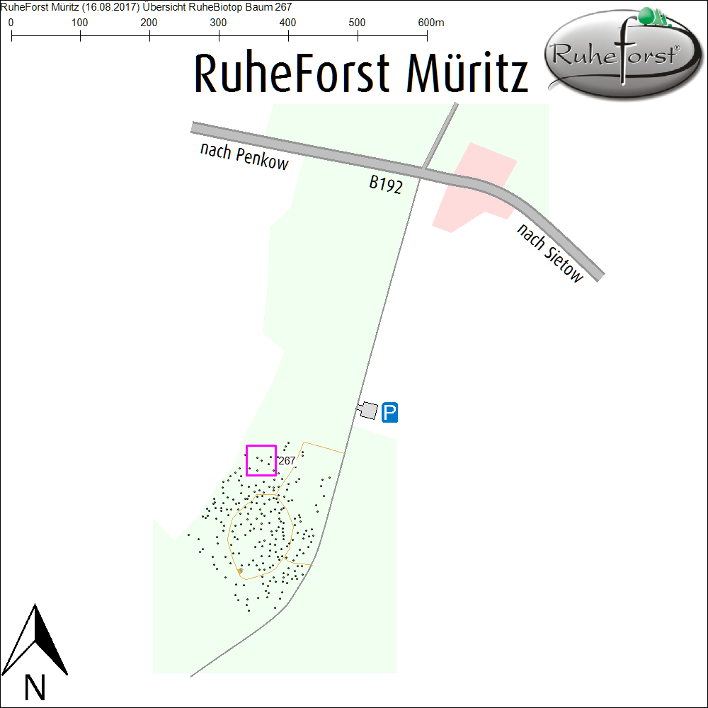 Übersichtskarte zu Baum 267