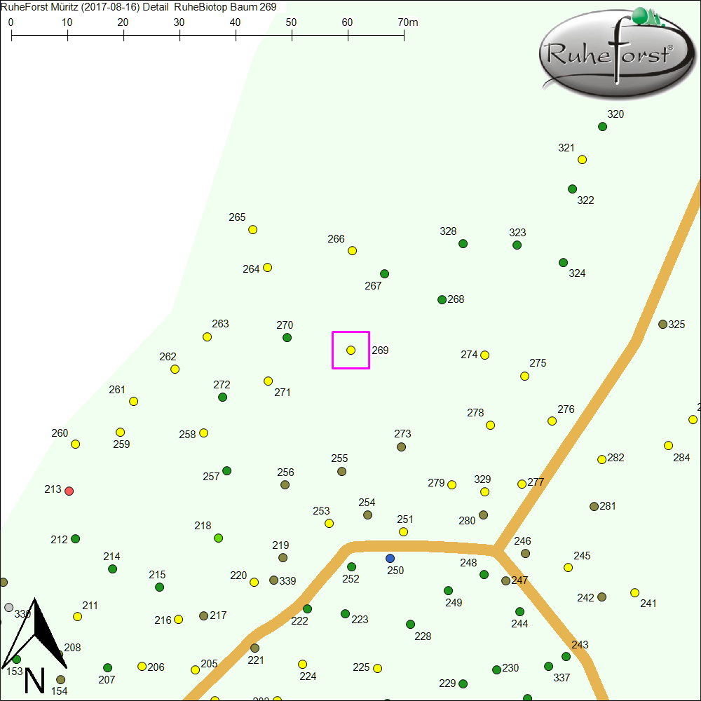 Detailkarte zu Baum 269
