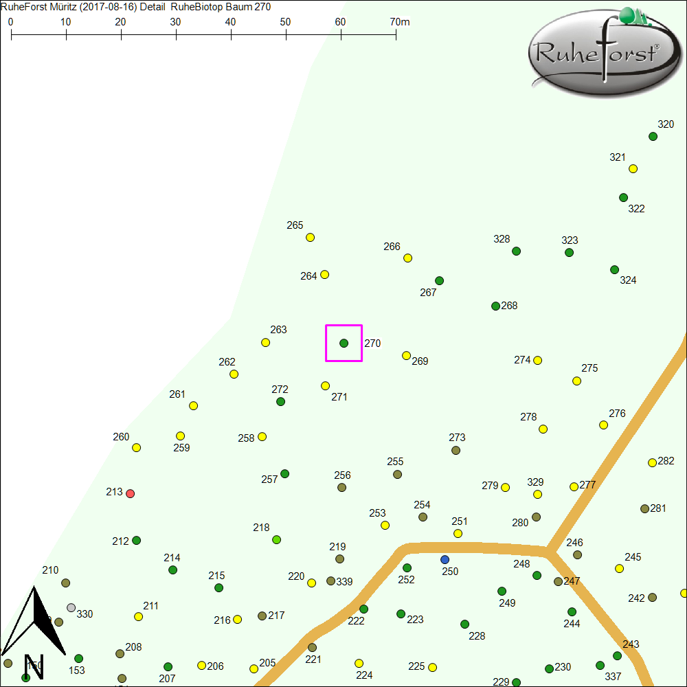 Detailkarte zu Baum 270