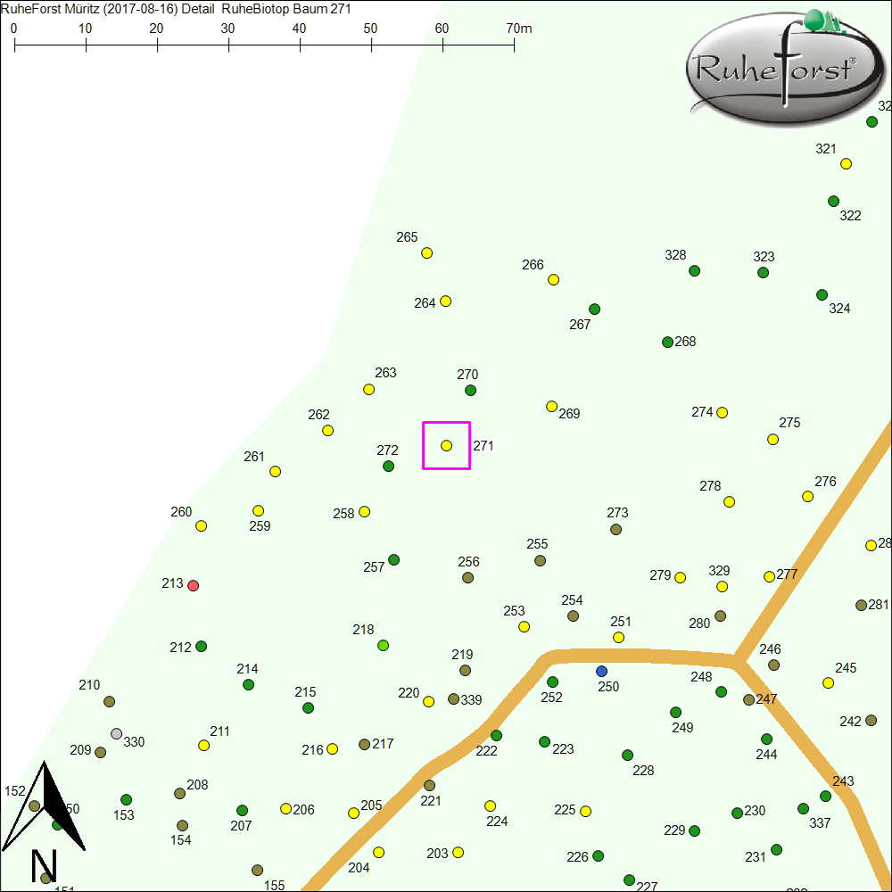 Detailkarte zu Baum 271