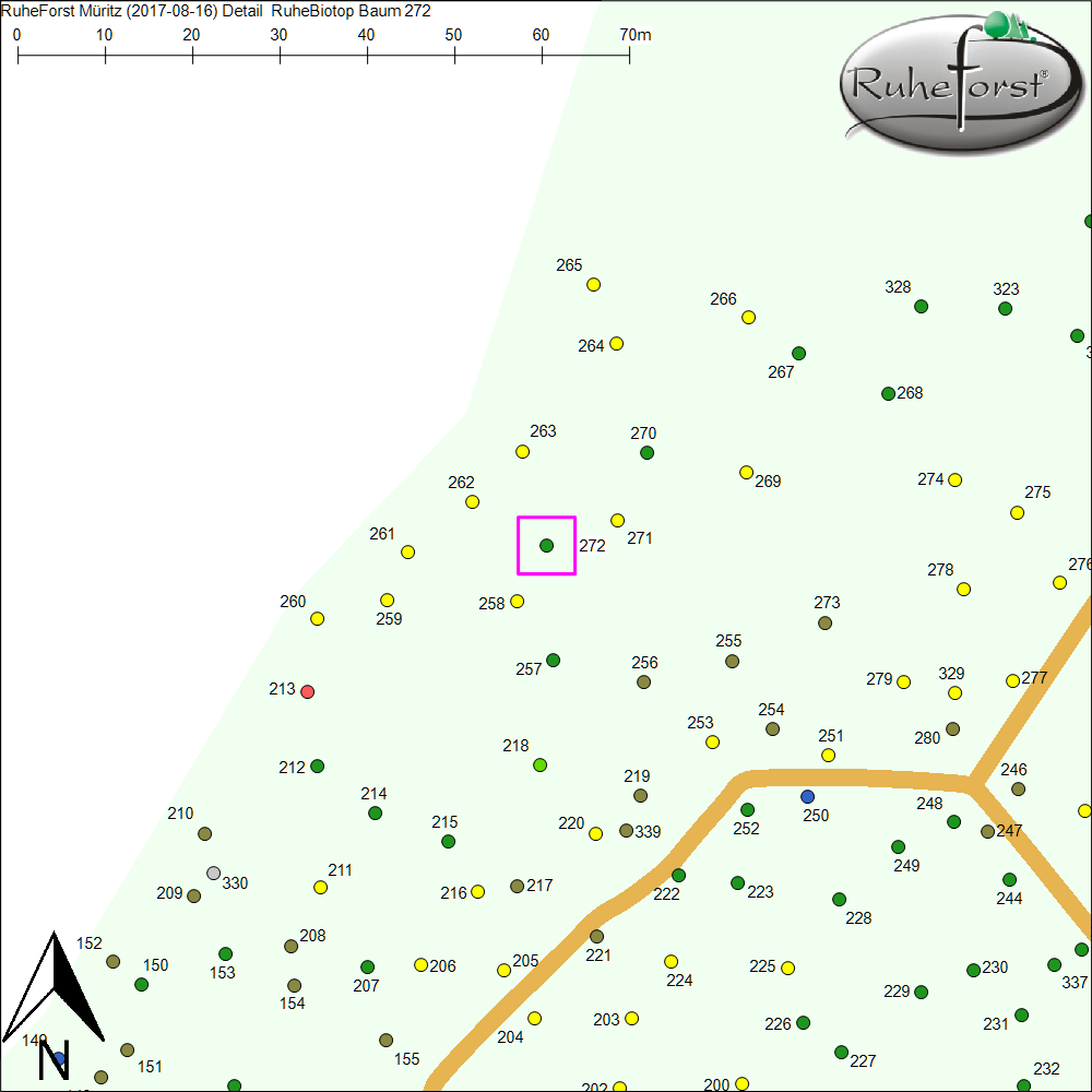 Detailkarte zu Baum 272