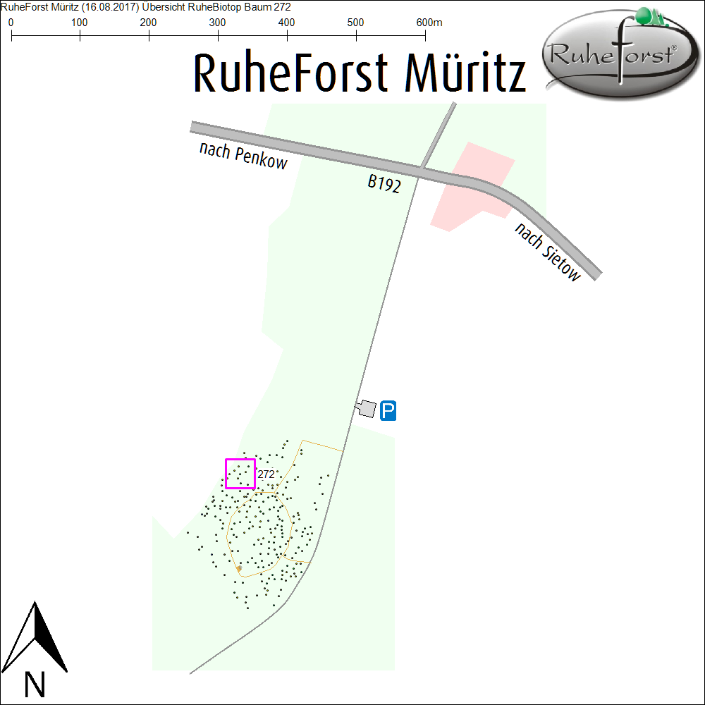 Übersichtskarte zu Baum 272