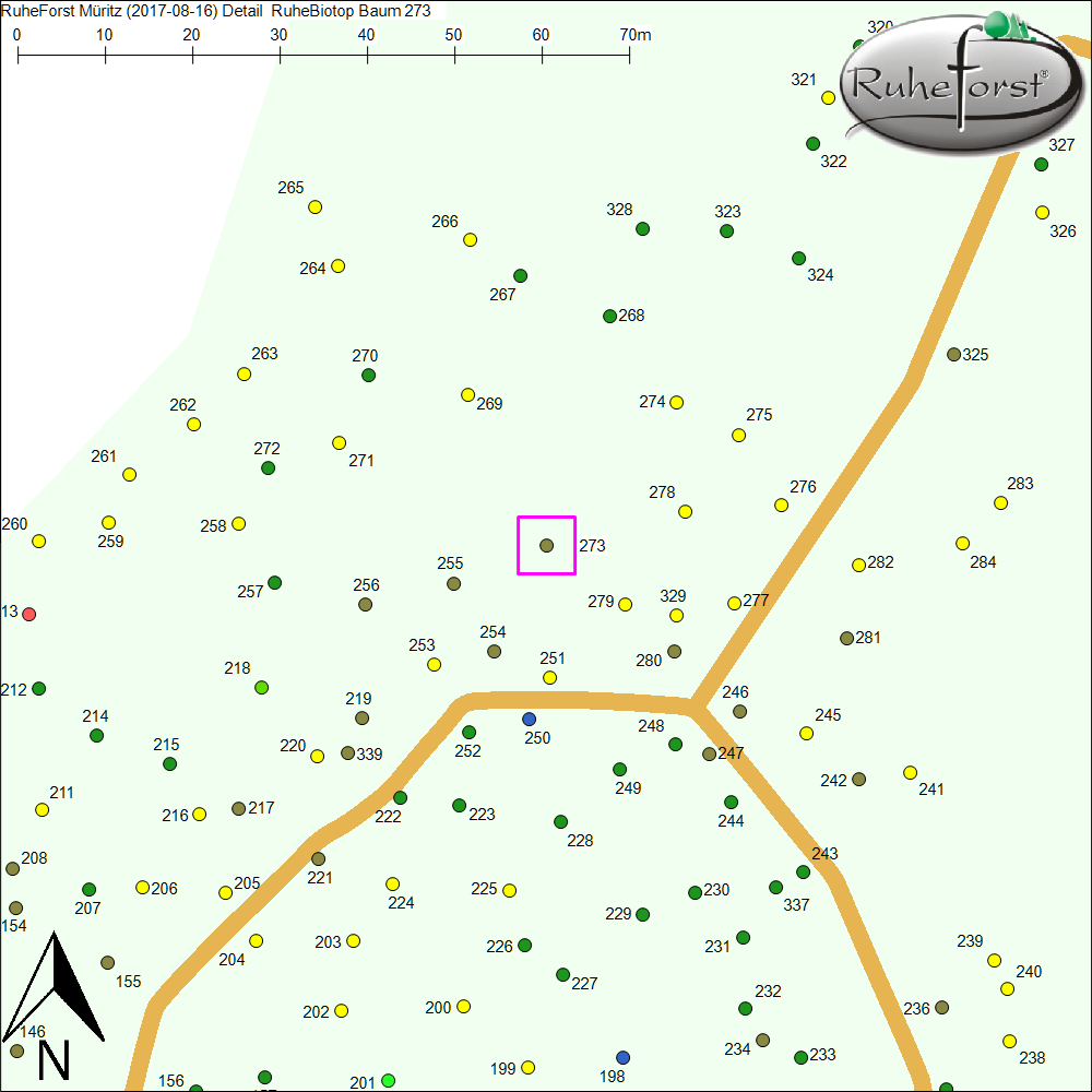 Detailkarte zu Baum 273