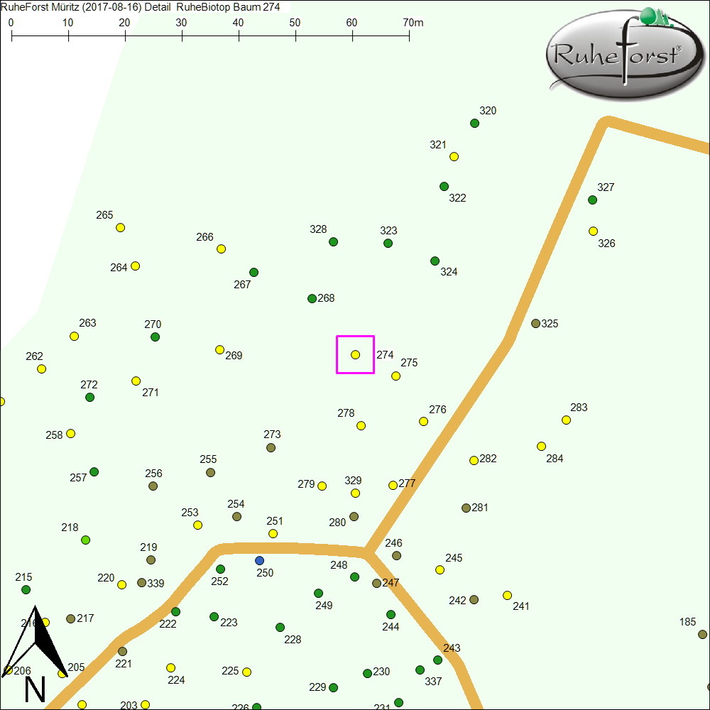 Detailkarte zu Baum 274