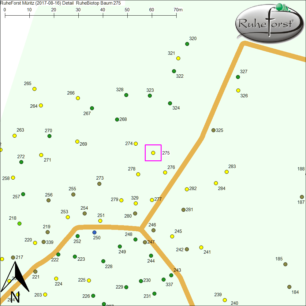 Detailkarte zu Baum 275