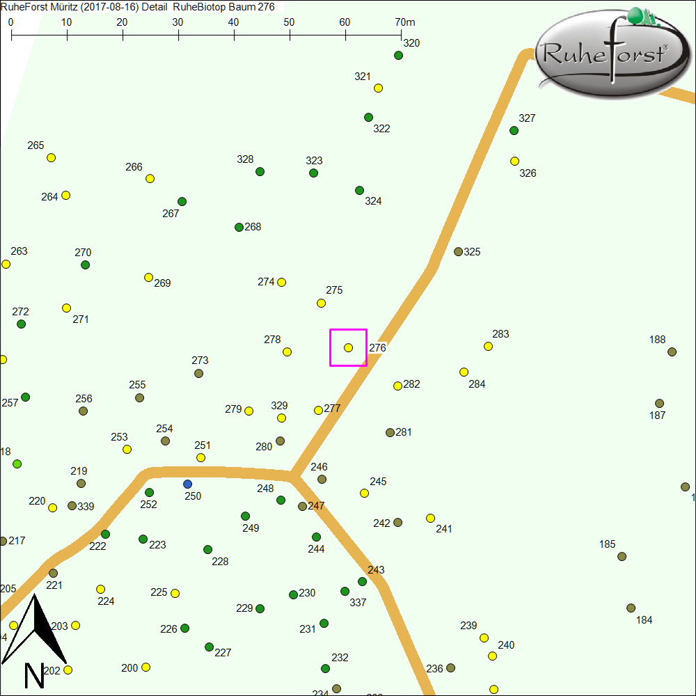 Detailkarte zu Baum 276