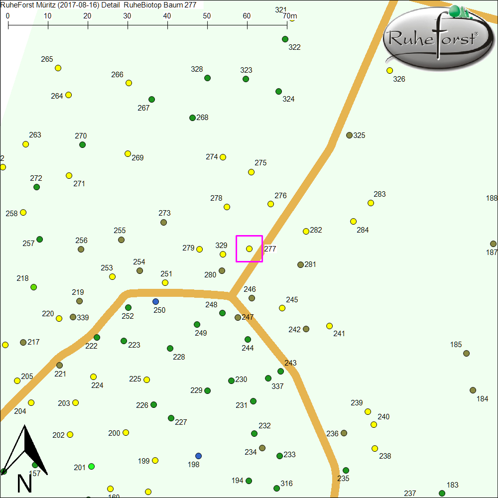 Detailkarte zu Baum 277