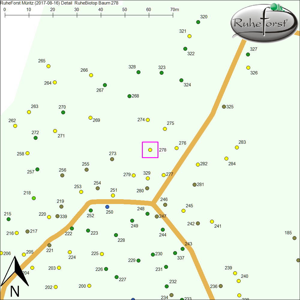 Detailkarte zu Baum 278