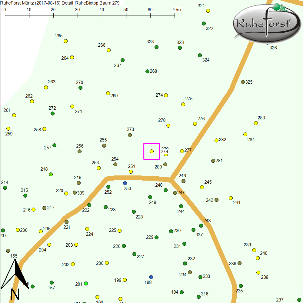 Detailkarte zu Baum 279