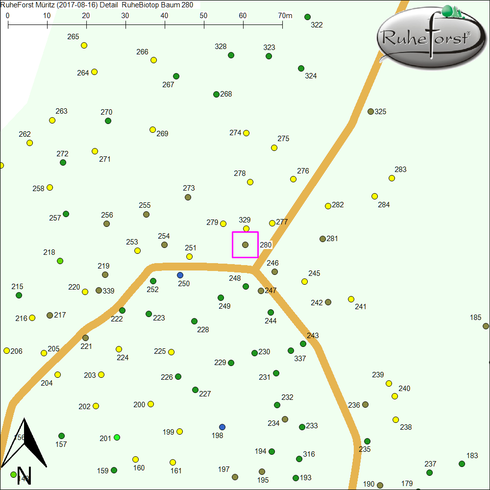 Detailkarte zu Baum 280