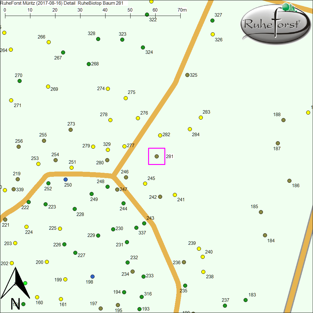 Detailkarte zu Baum 281