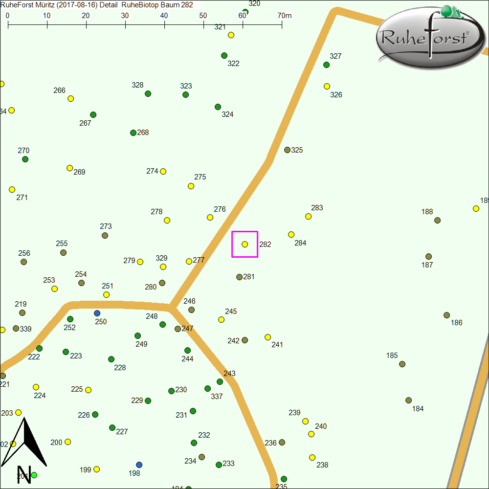Detailkarte zu Baum 282