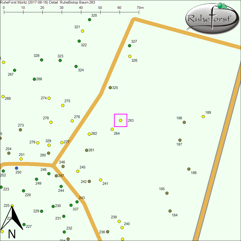 Detailkarte zu Baum 283