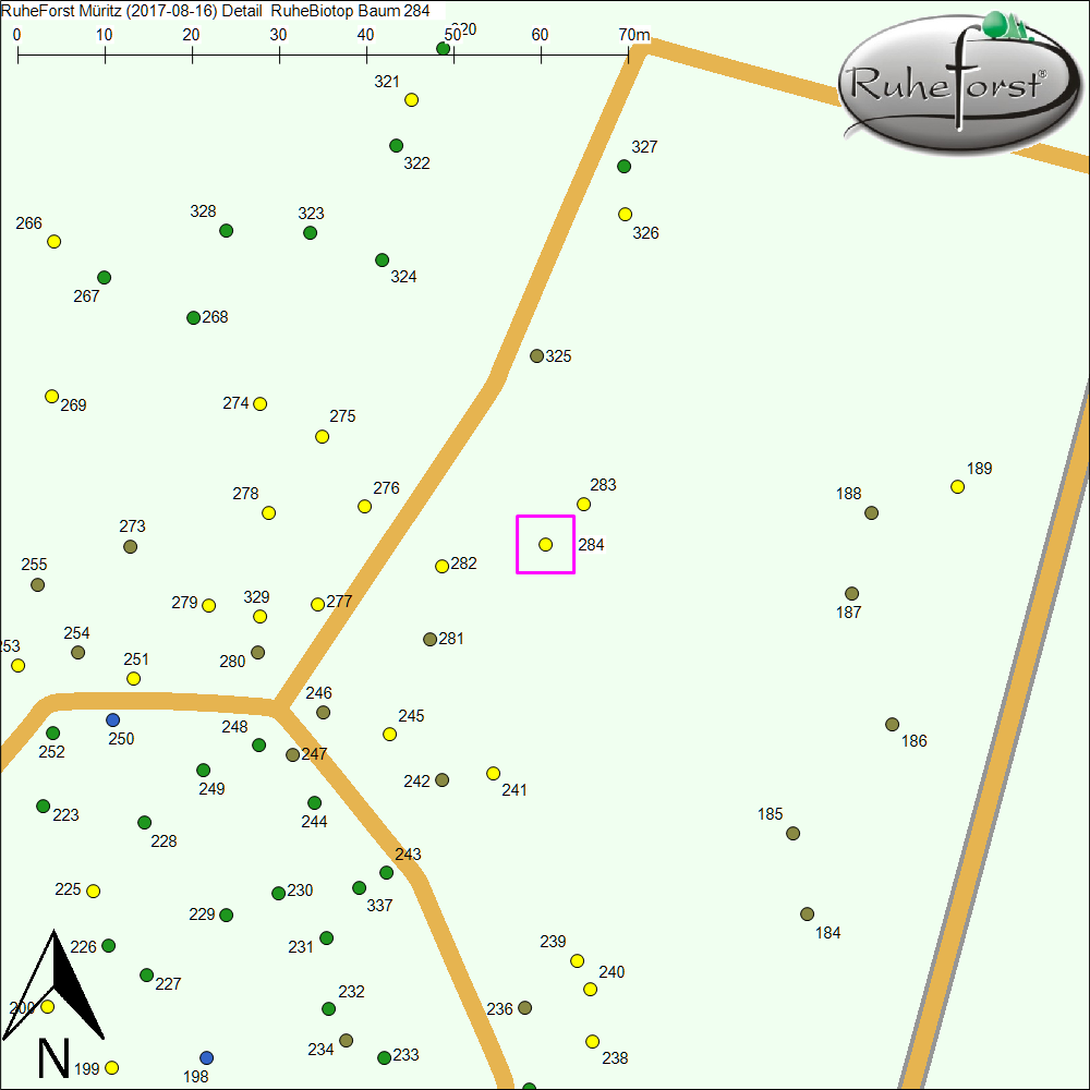 Detailkarte zu Baum 284