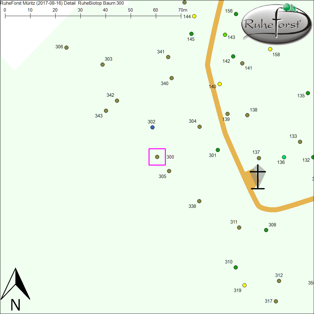 Detailkarte zu Baum 300