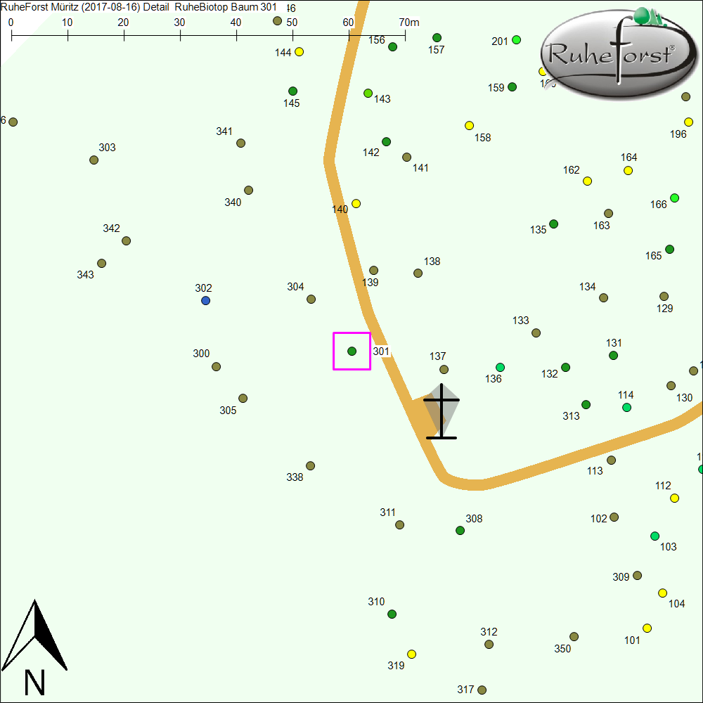 Detailkarte zu Baum 301
