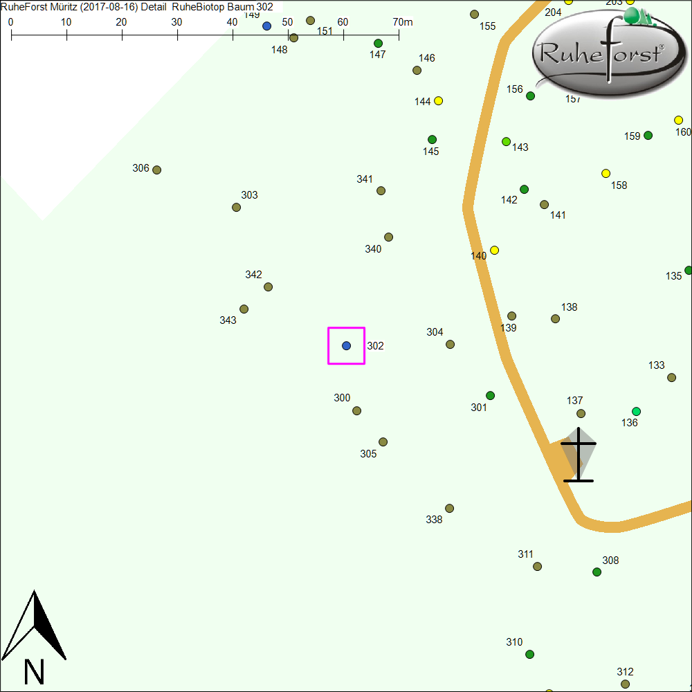 Detailkarte zu Baum 302