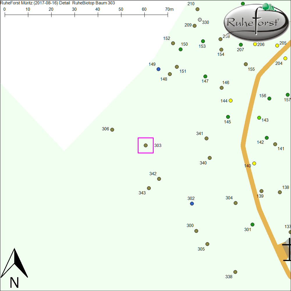 Detailkarte zu Baum 303