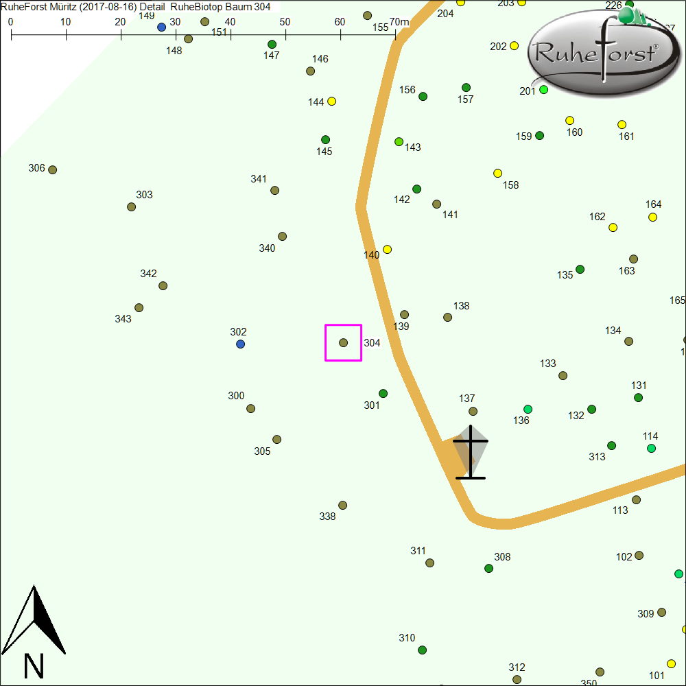 Detailkarte zu Baum 304