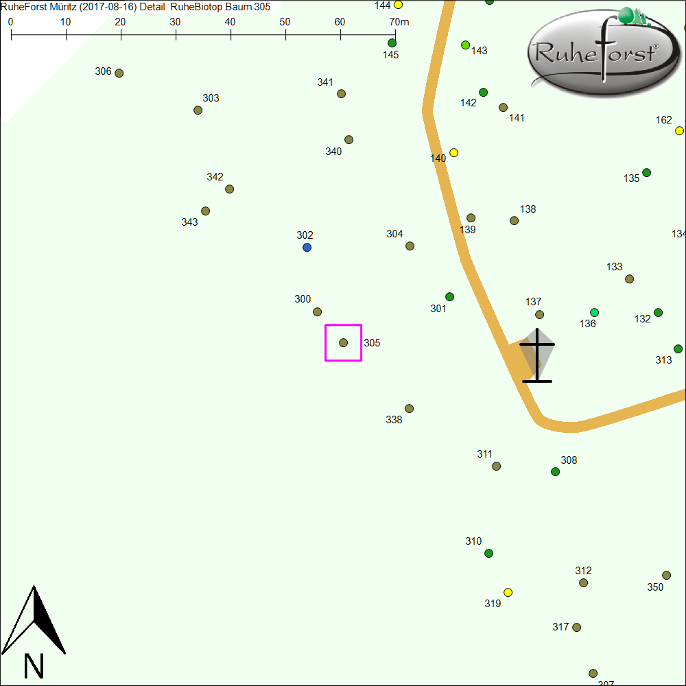 Detailkarte zu Baum 305