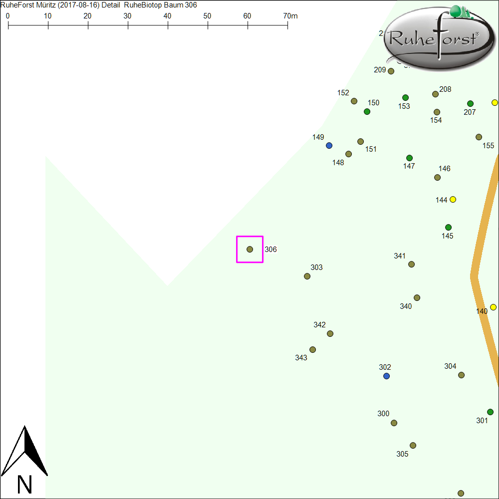 Detailkarte zu Baum 306