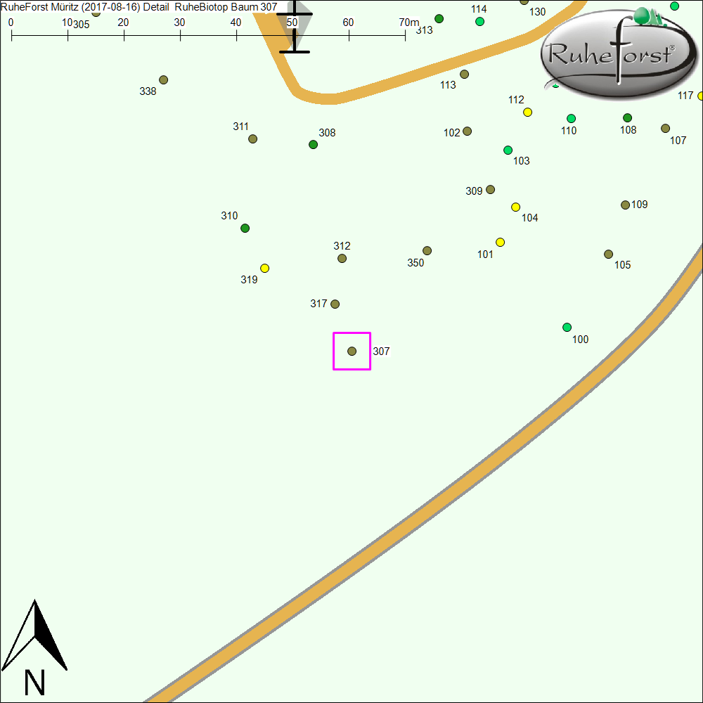 Detailkarte zu Baum 307