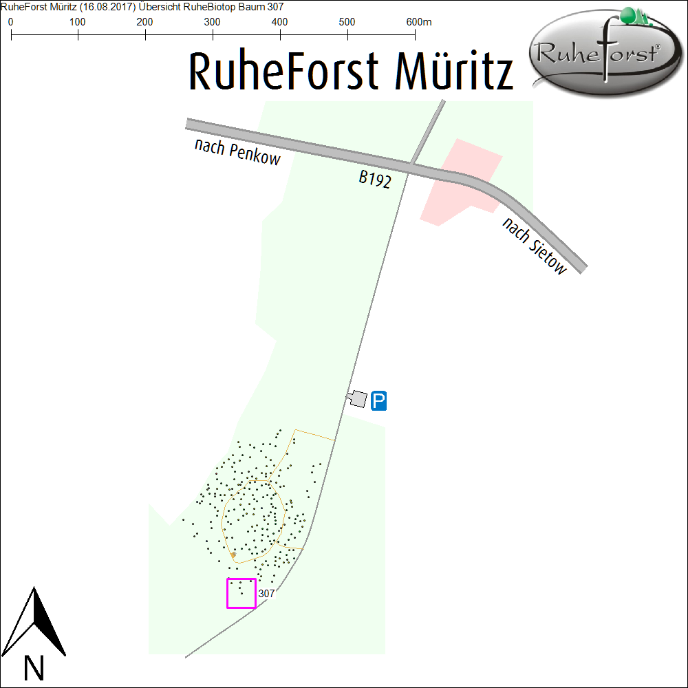 Übersichtskarte zu Baum 307