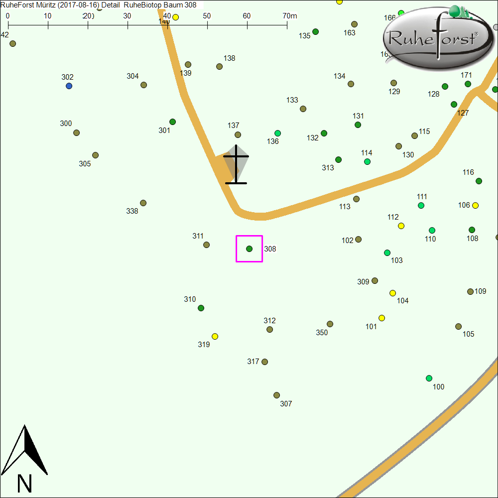 Detailkarte zu Baum 308
