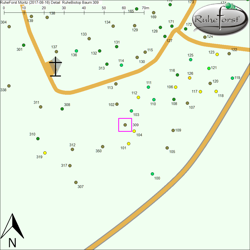 Detailkarte zu Baum 309