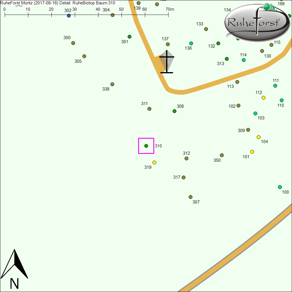 Detailkarte zu Baum 310