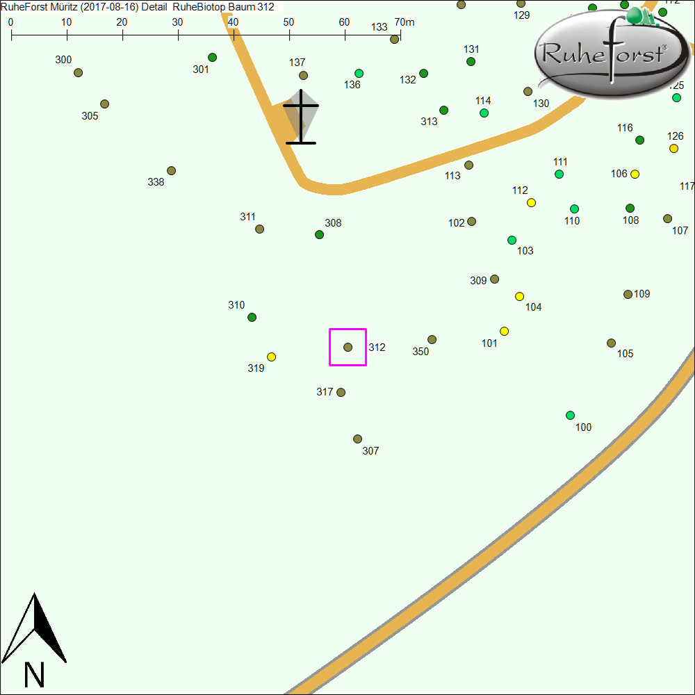 Detailkarte zu Baum 312
