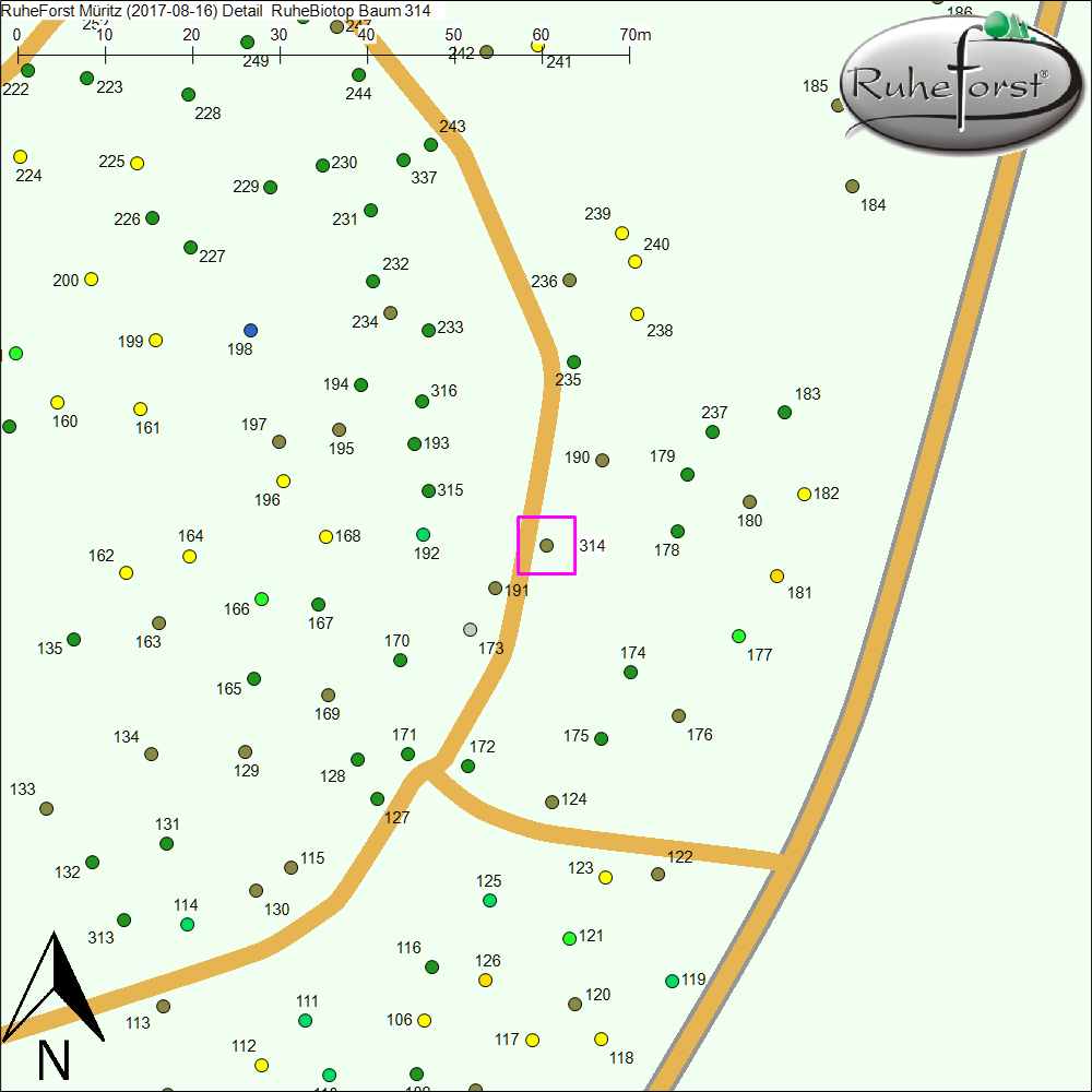 Detailkarte zu Baum 314