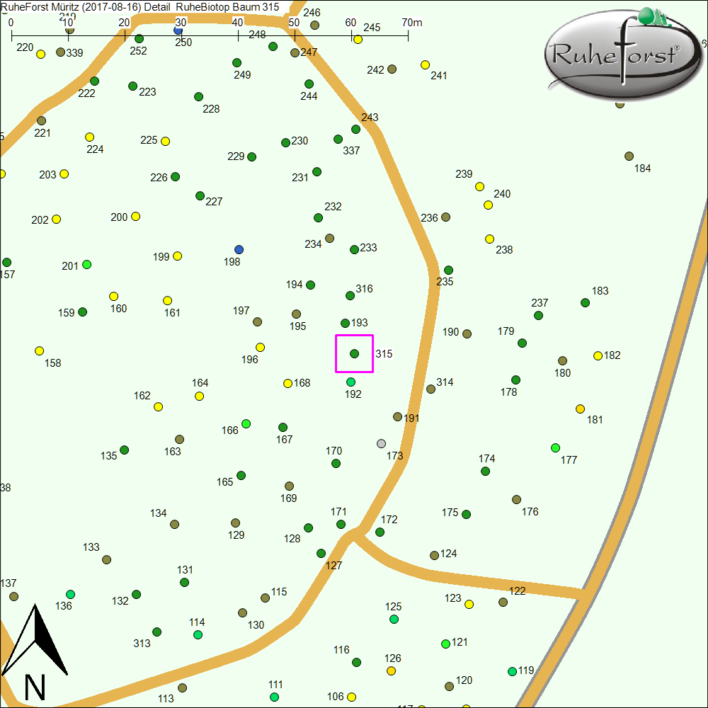 Detailkarte zu Baum 315