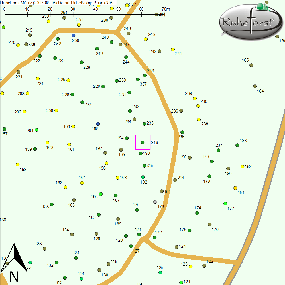 Detailkarte zu Baum 316