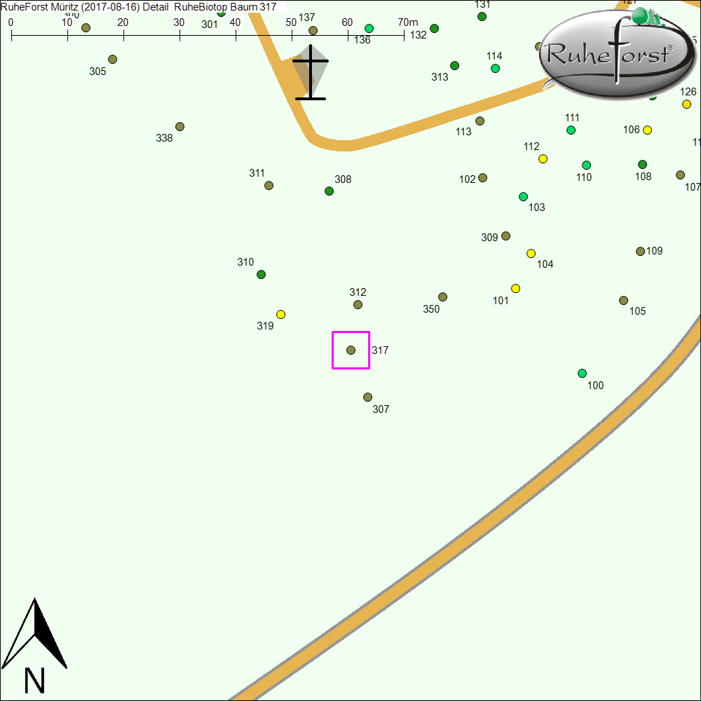 Detailkarte zu Baum 317