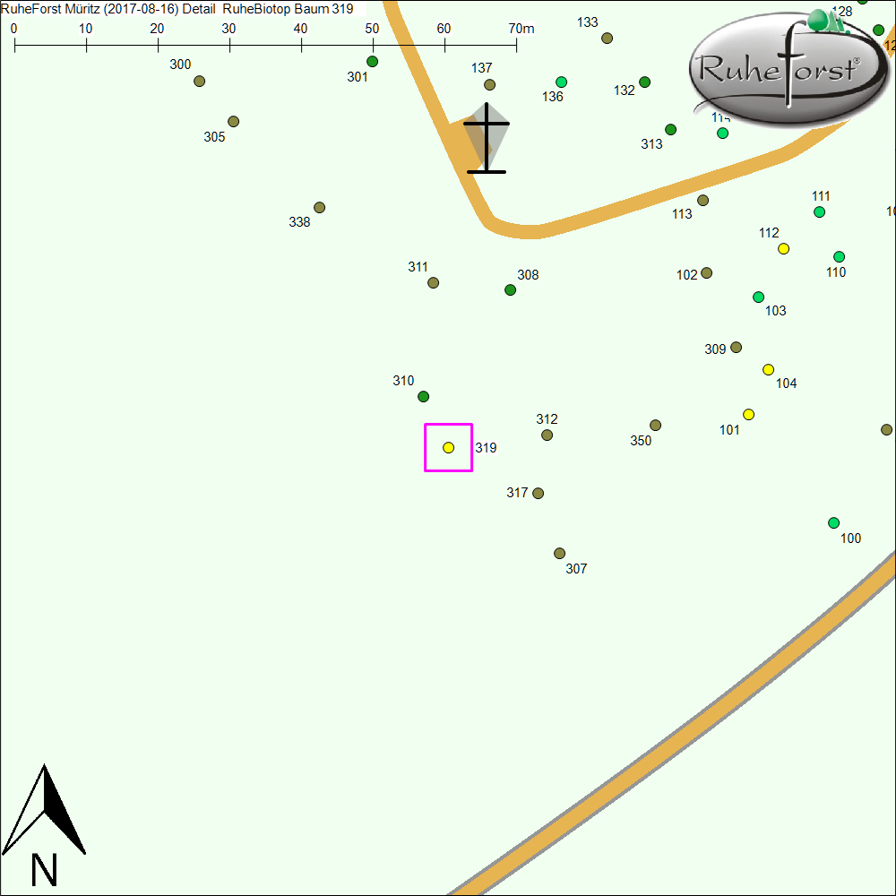 Detailkarte zu Baum 319
