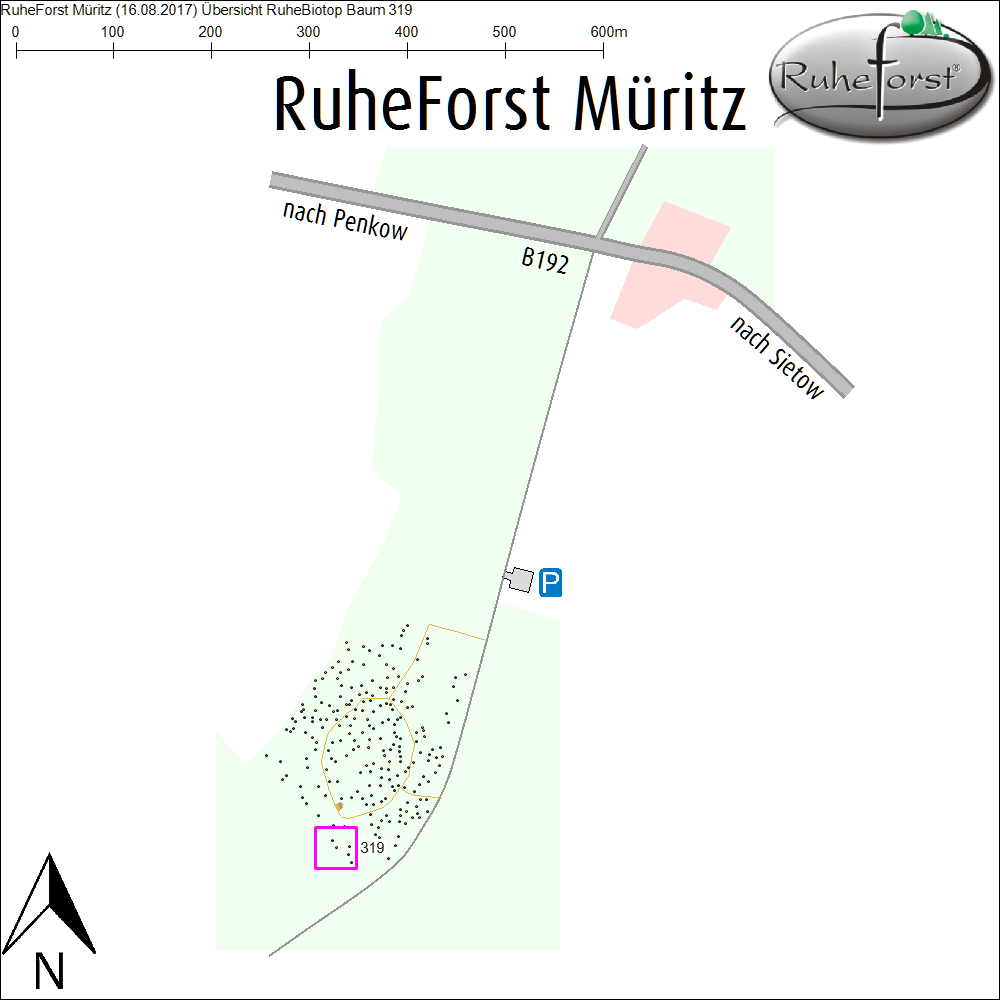 Übersichtskarte zu Baum 319