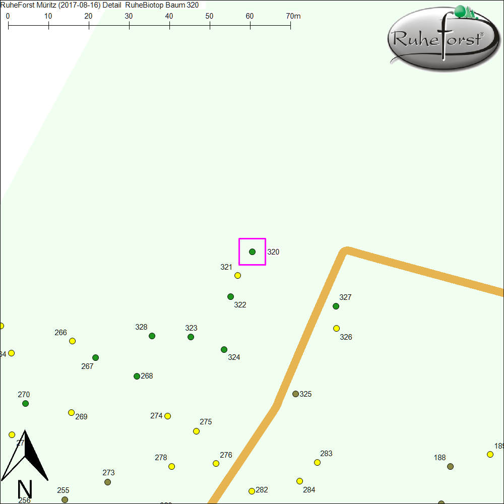 Detailkarte zu Baum 320