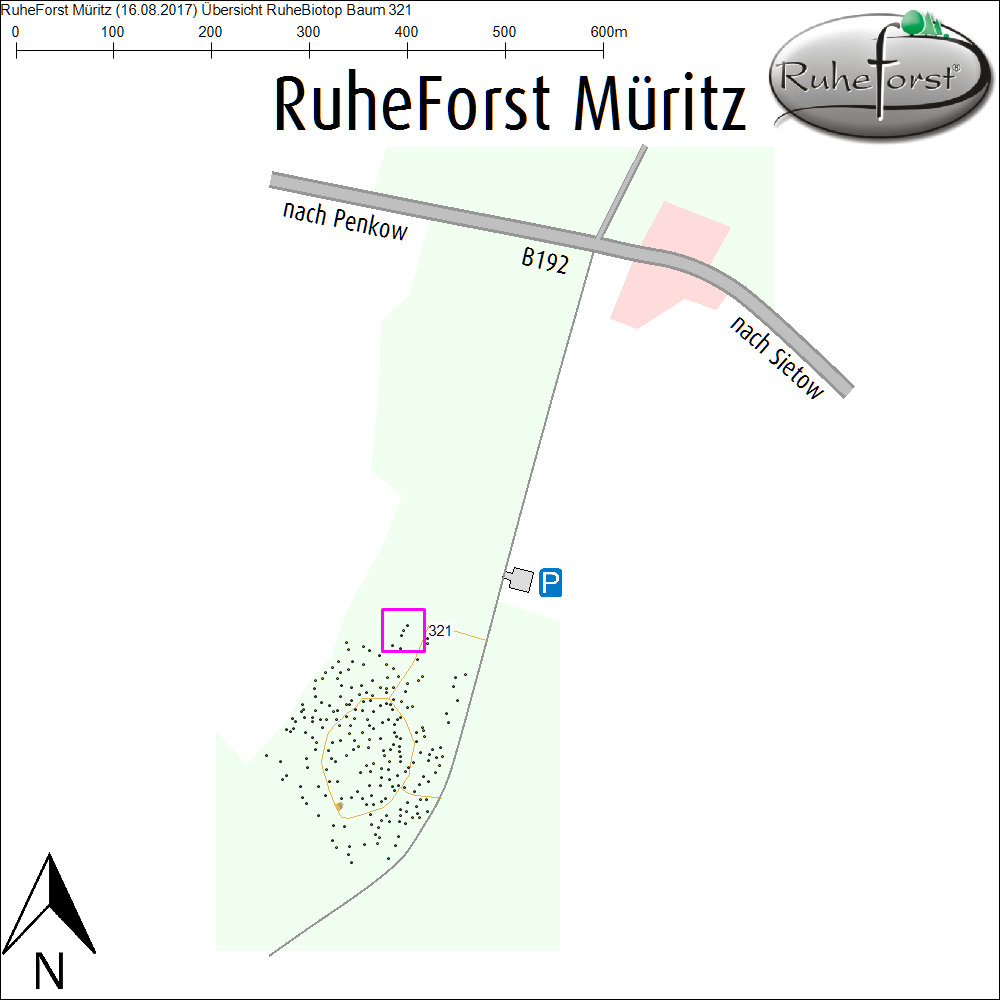 Übersichtskarte zu Baum 321