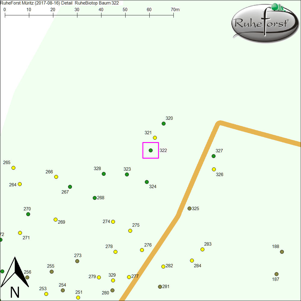 Detailkarte zu Baum 322