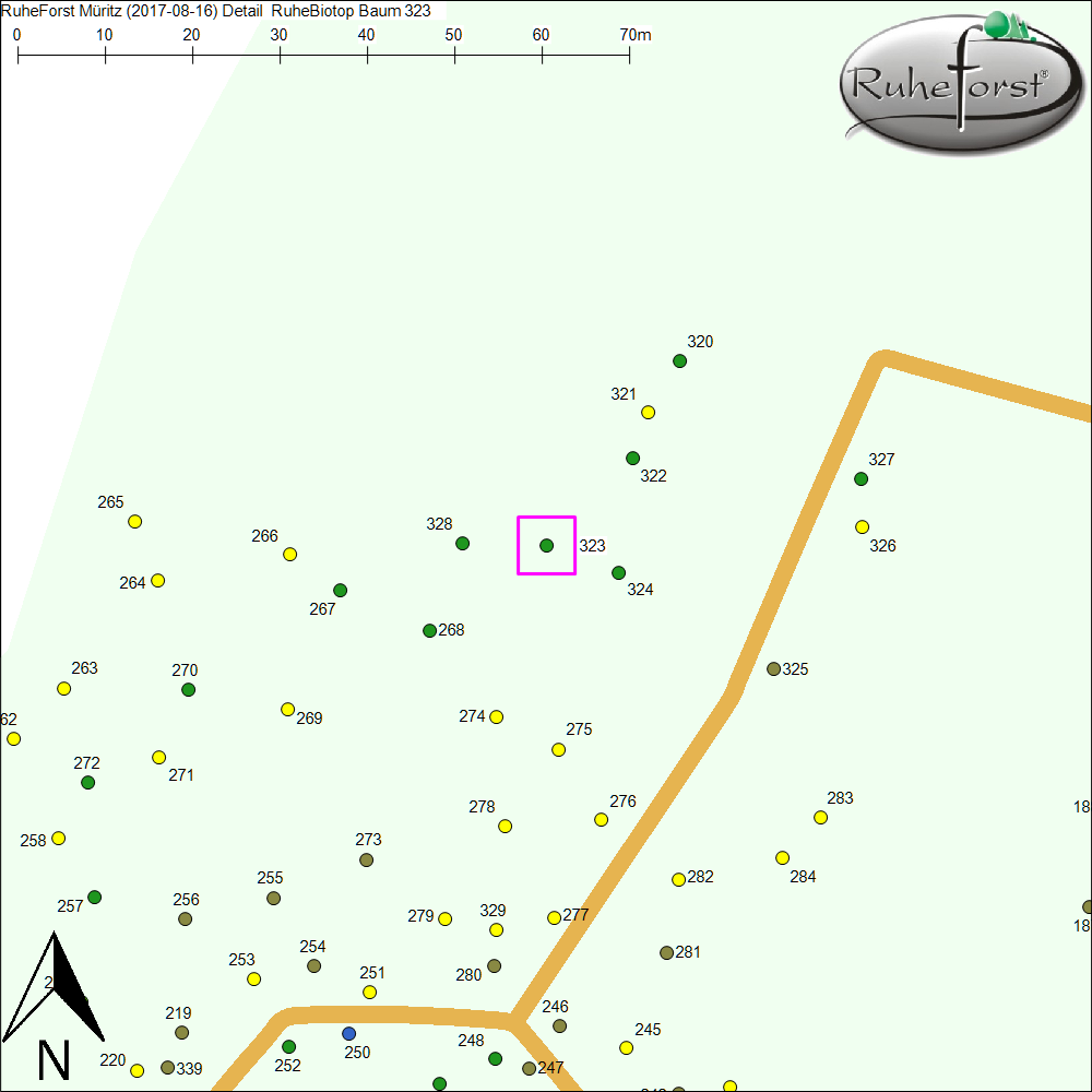 Detailkarte zu Baum 323