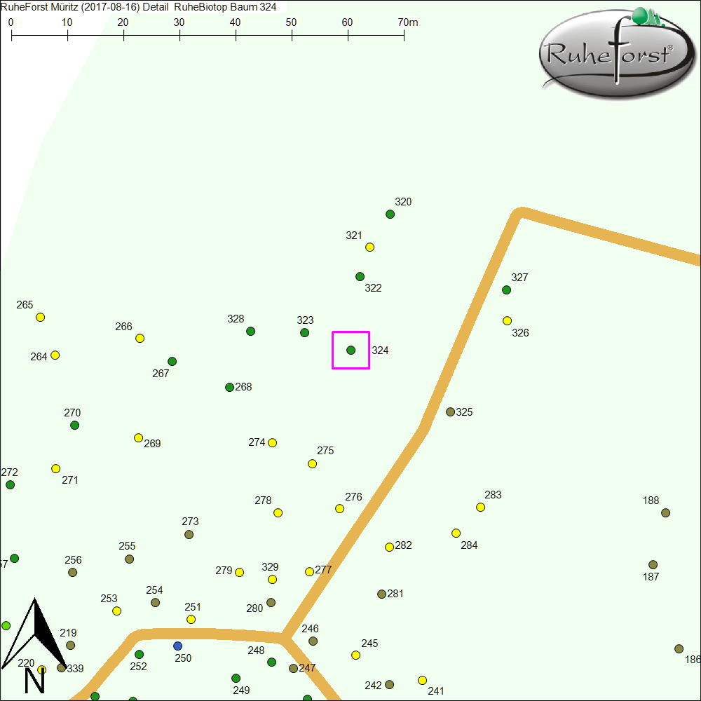 Detailkarte zu Baum 324