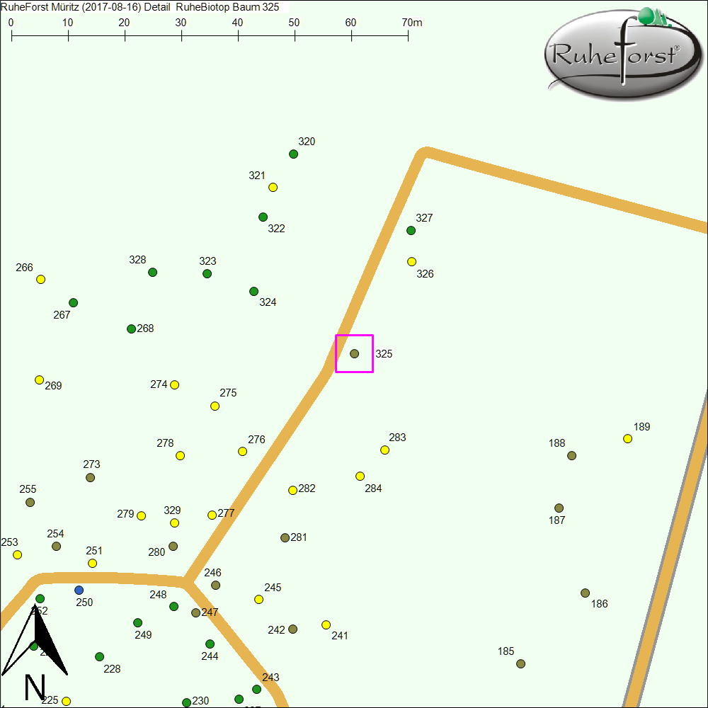 Detailkarte zu Baum 325
