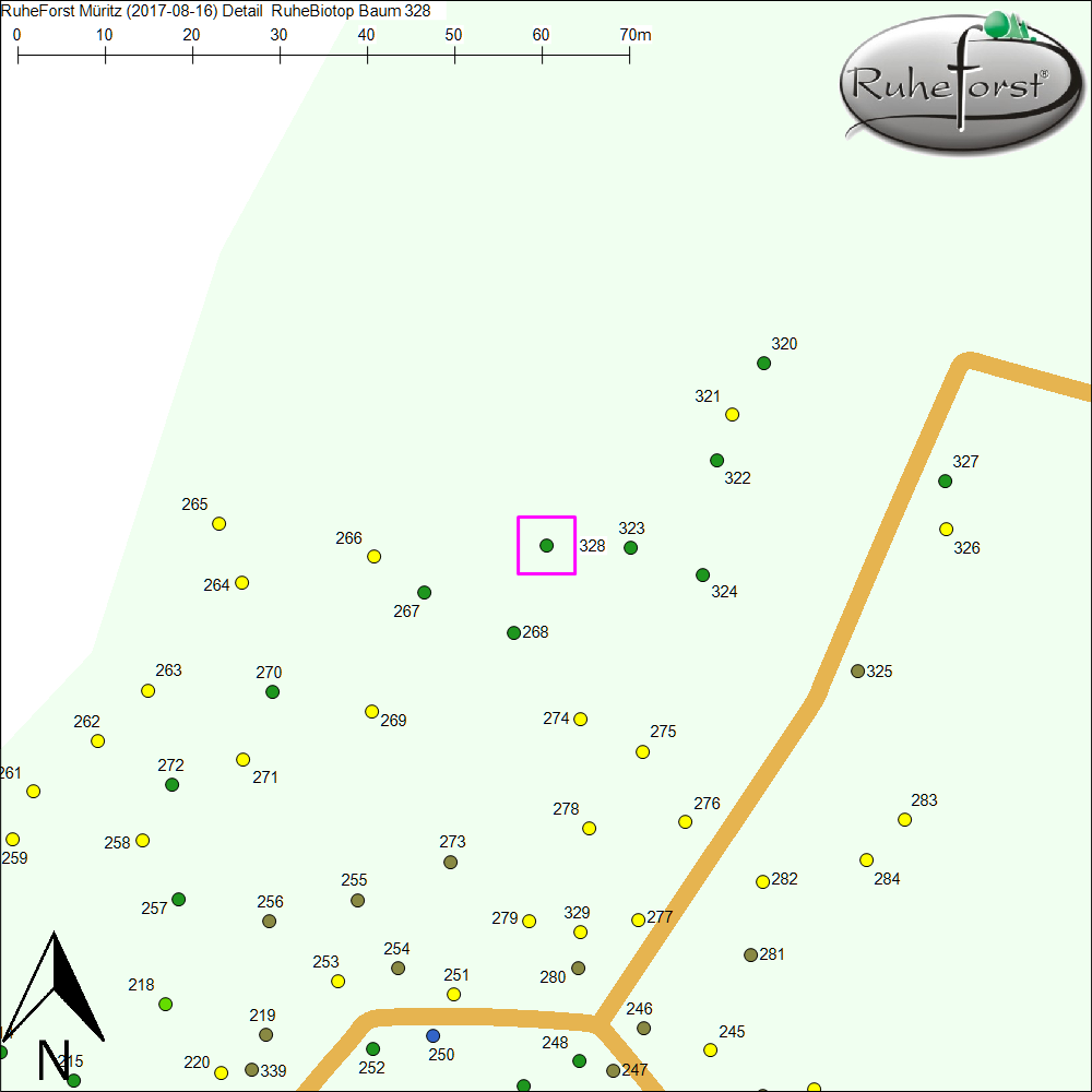 Detailkarte zu Baum 328
