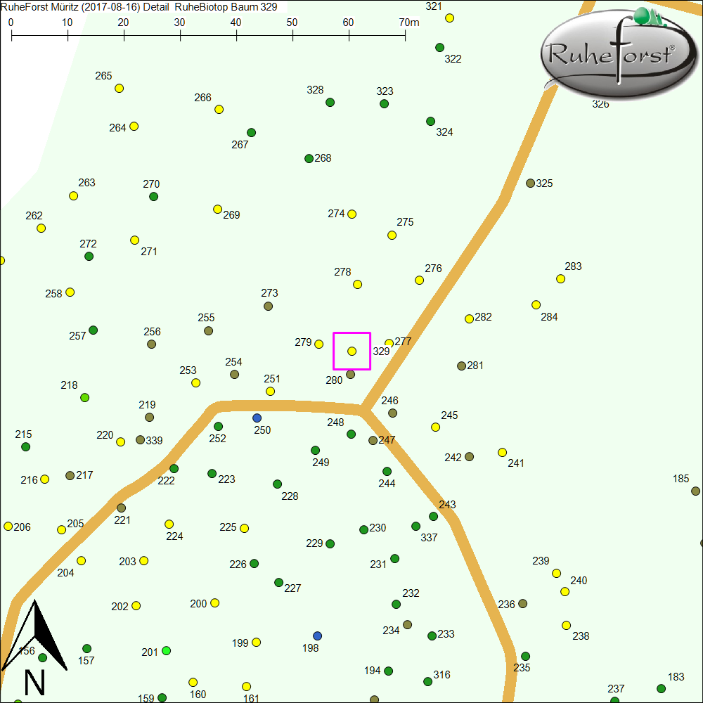 Detailkarte zu Baum 329