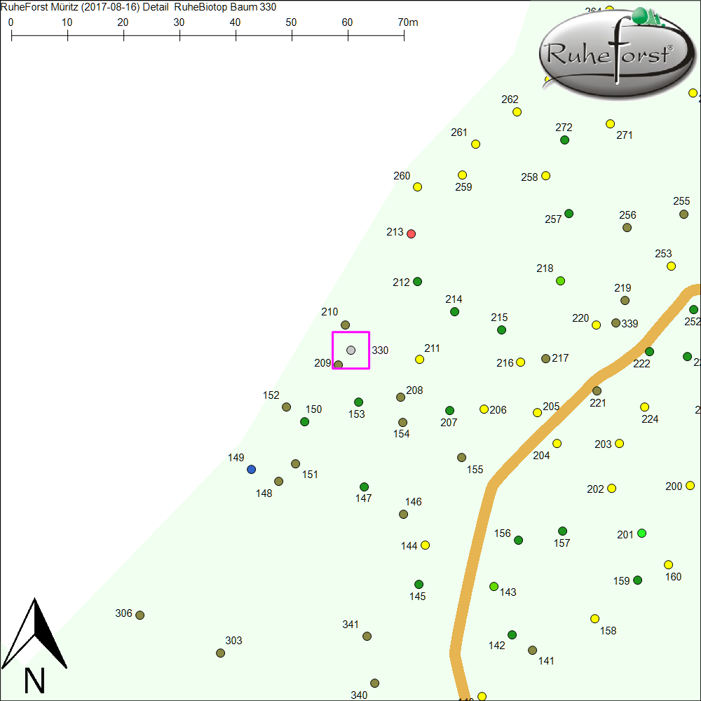 Detailkarte zu Baum 330