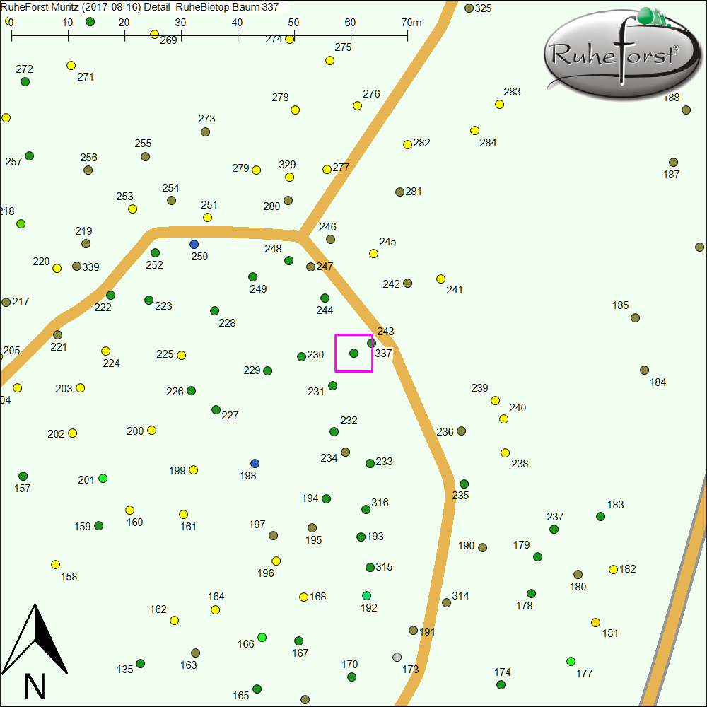 Detailkarte zu Baum 337