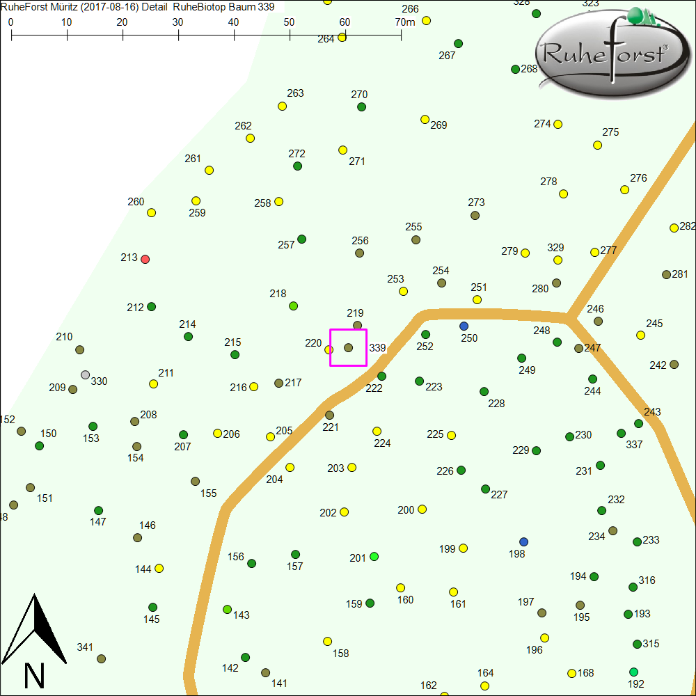 Detailkarte zu Baum 339
