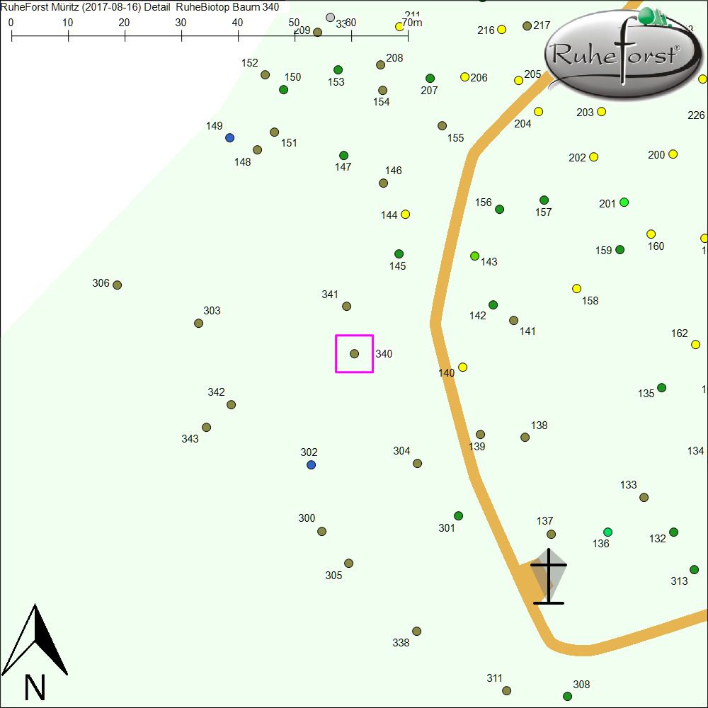 Detailkarte zu Baum 340